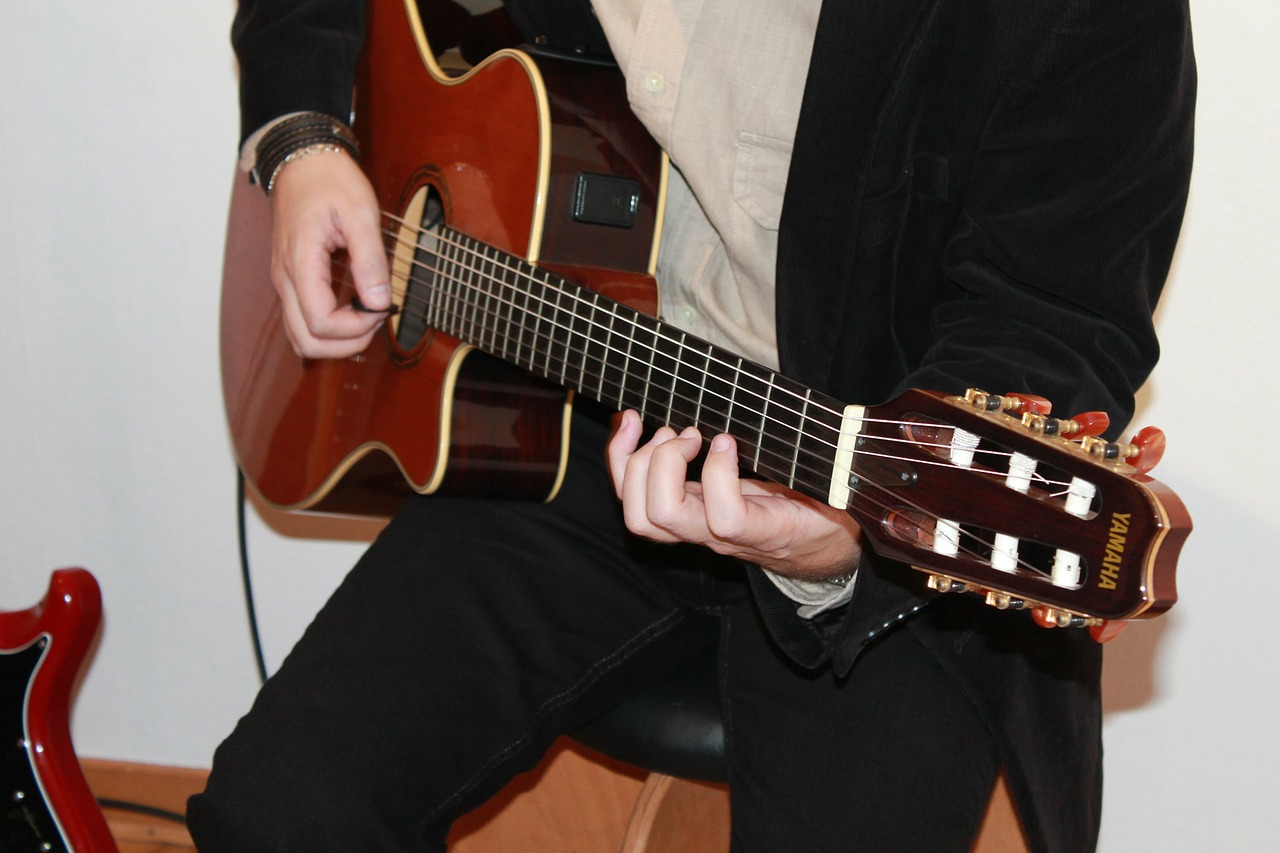 acoustic guitar guitar concert free photo