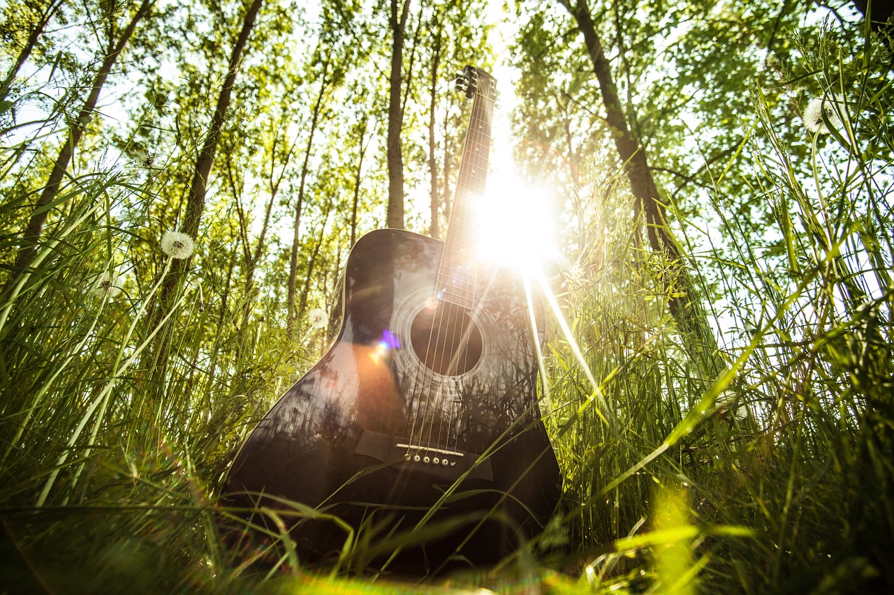 acoustic guitar musical instrument guitar free photo