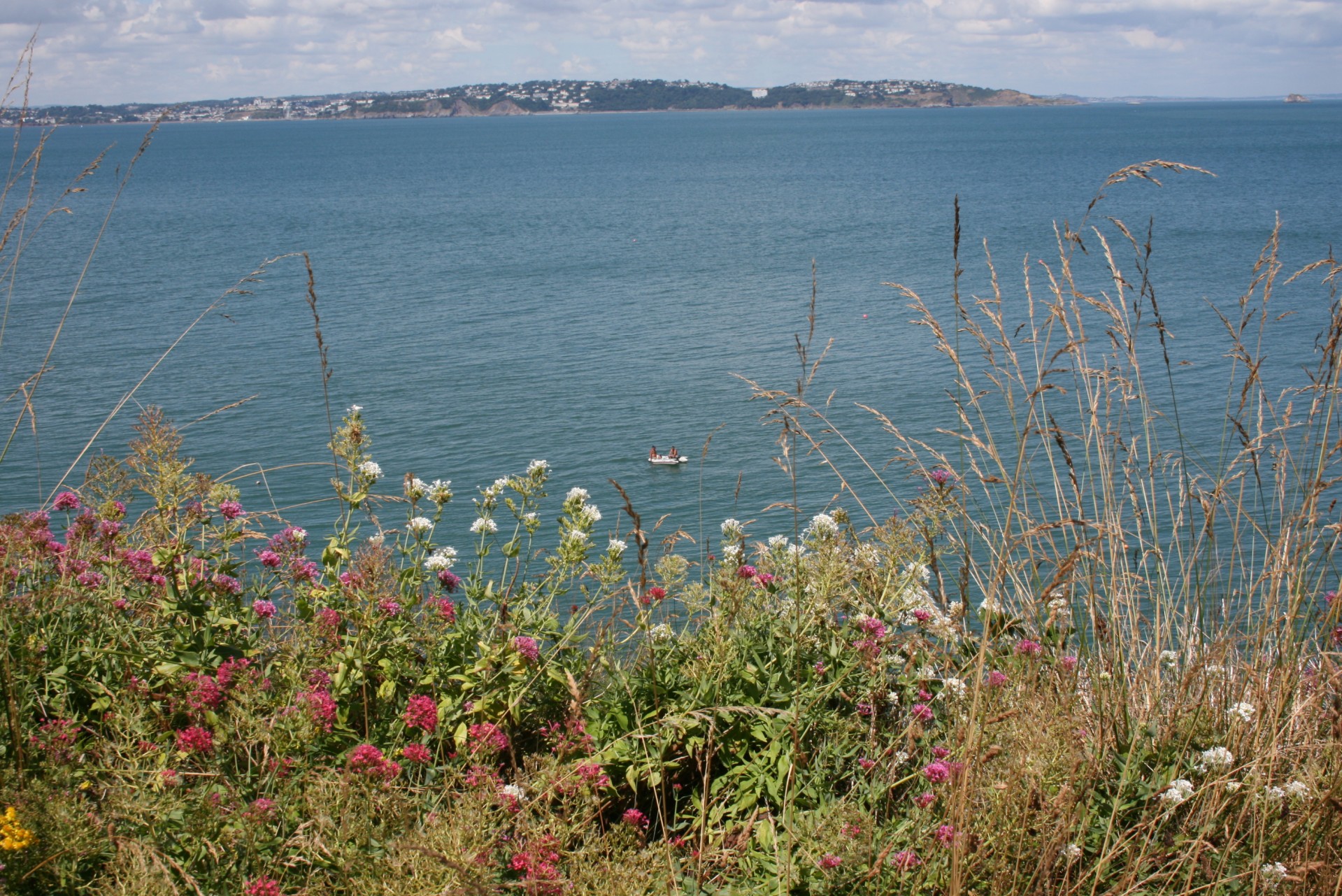 seascape torbay bay free photo