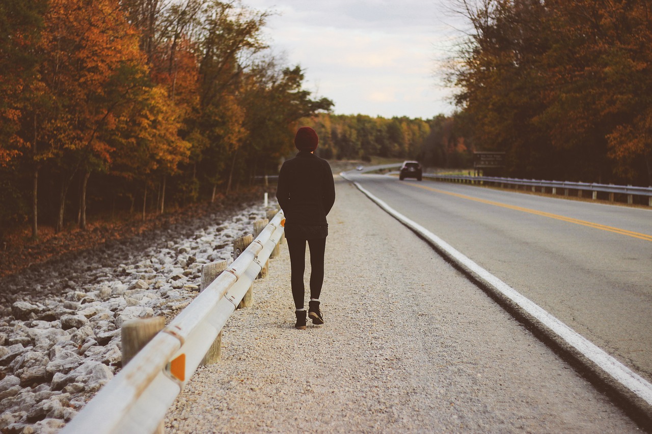 action asphalt autumn colours free photo