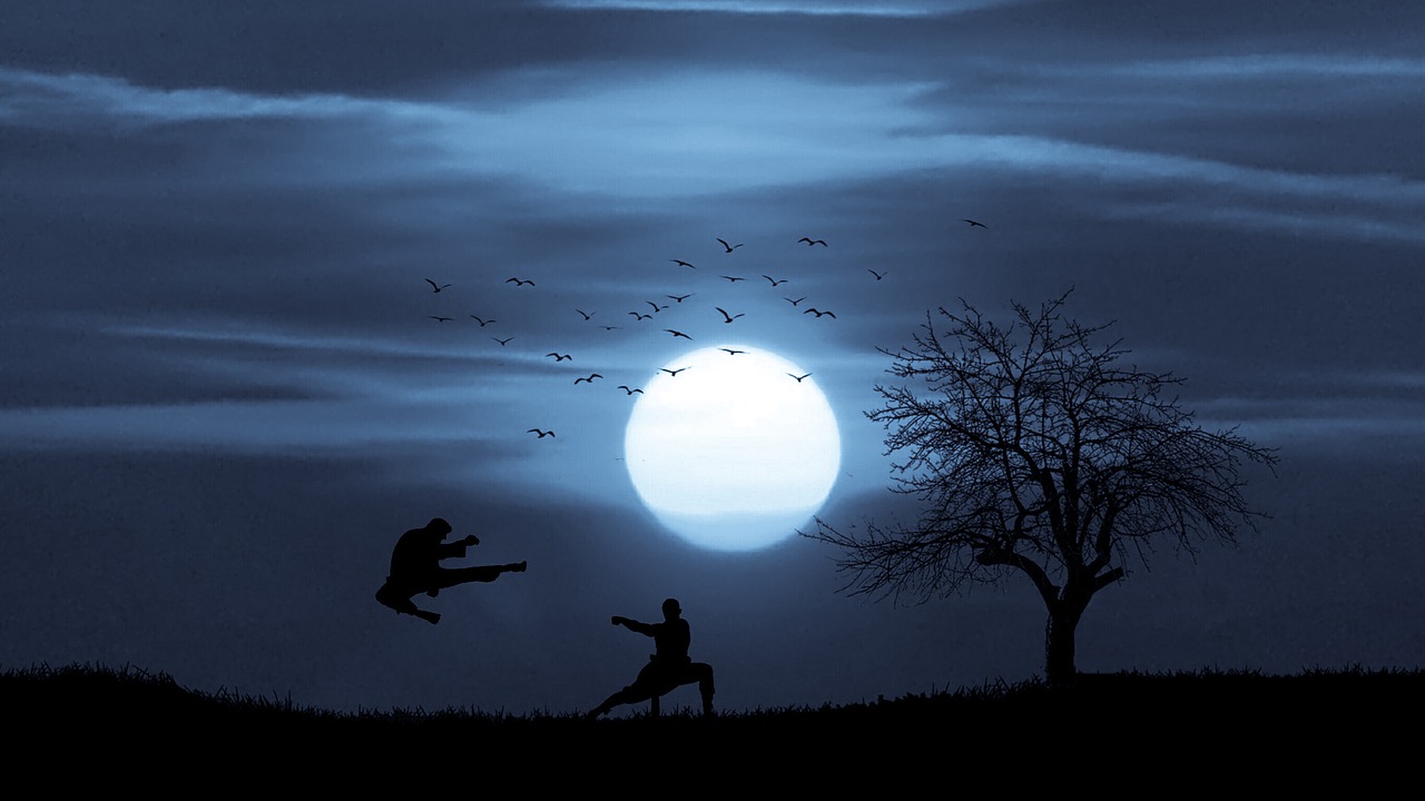 action  kung fu  moonlight free photo