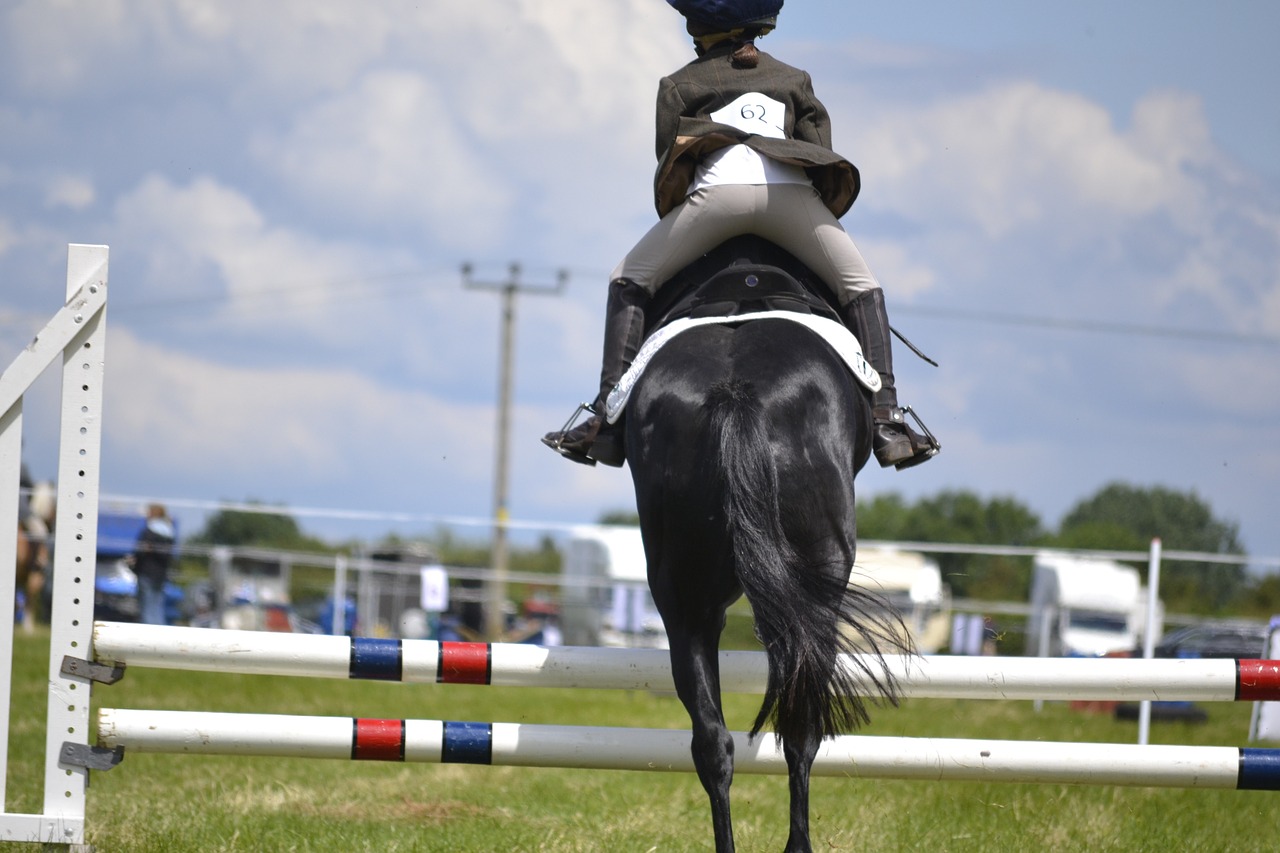 action horse jump free photo