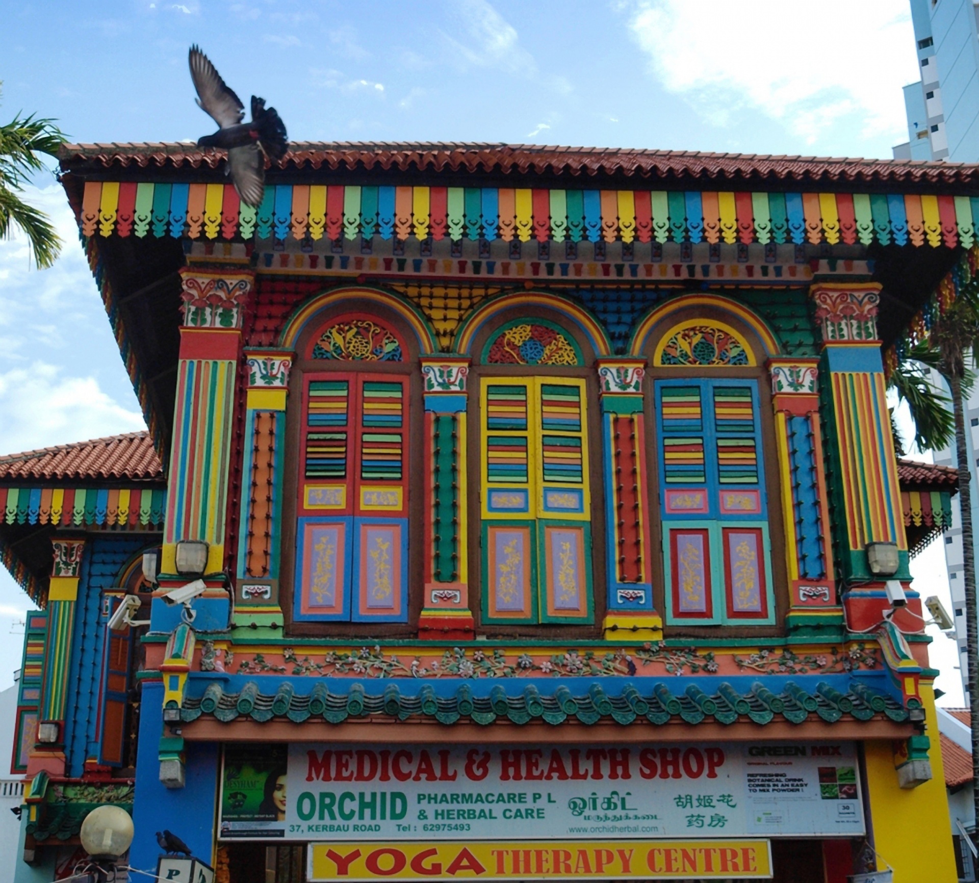 singapore little india colourful free photo