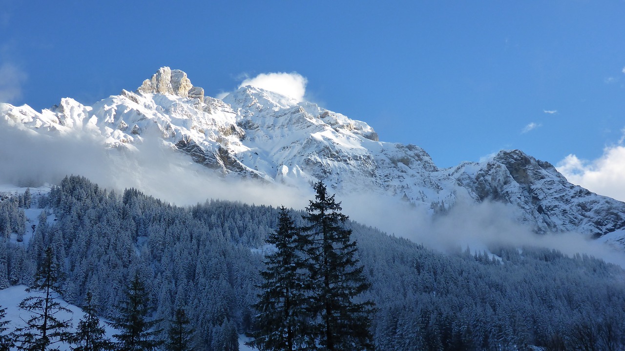 adelboden winter alpine free photo