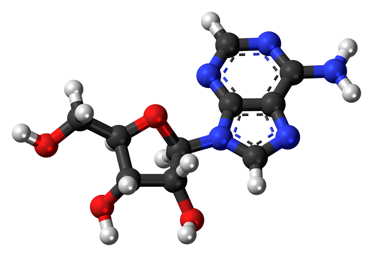 adenosine deoxyribonucleoside molecule free photo