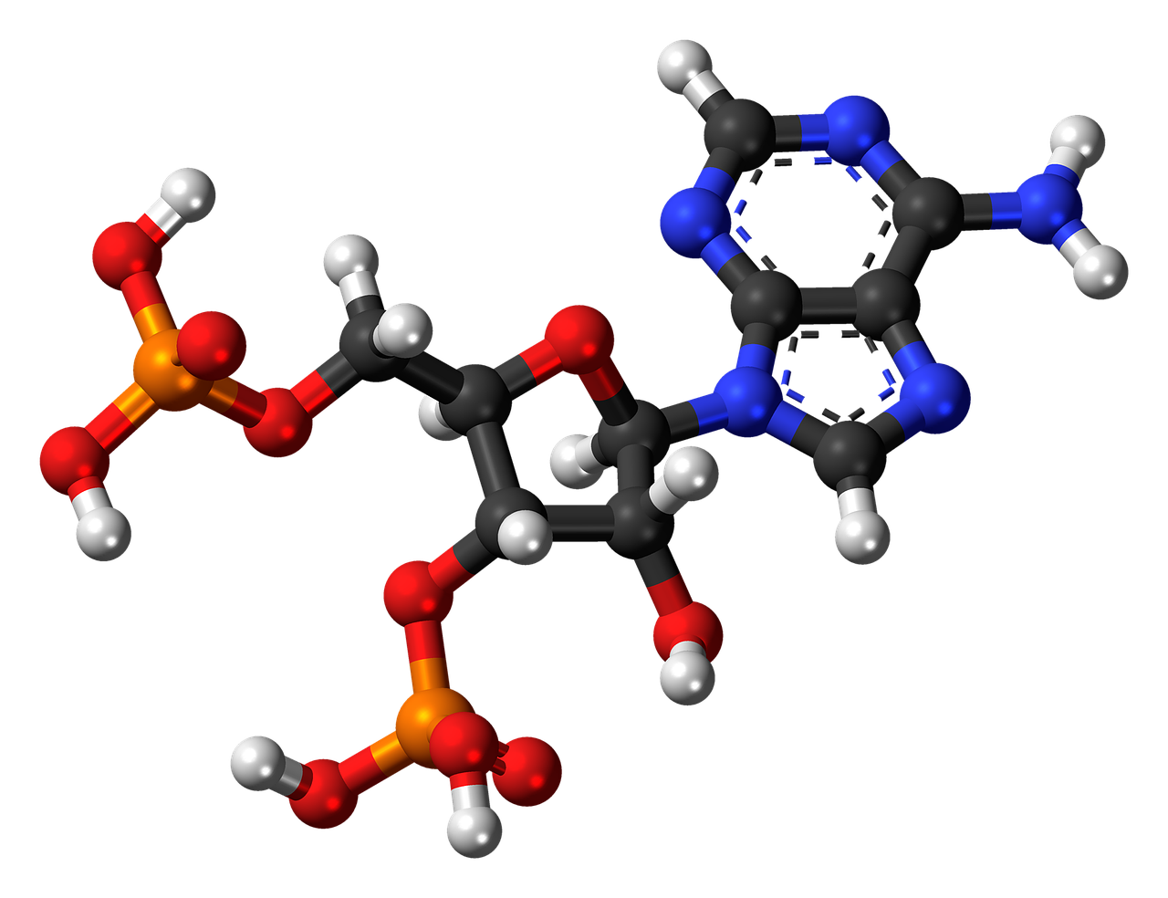 adenosine biphosphate nucleotide molecule free photo