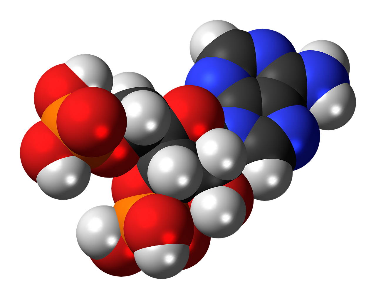 adenosine biphosphate nucleotide molecule free photo