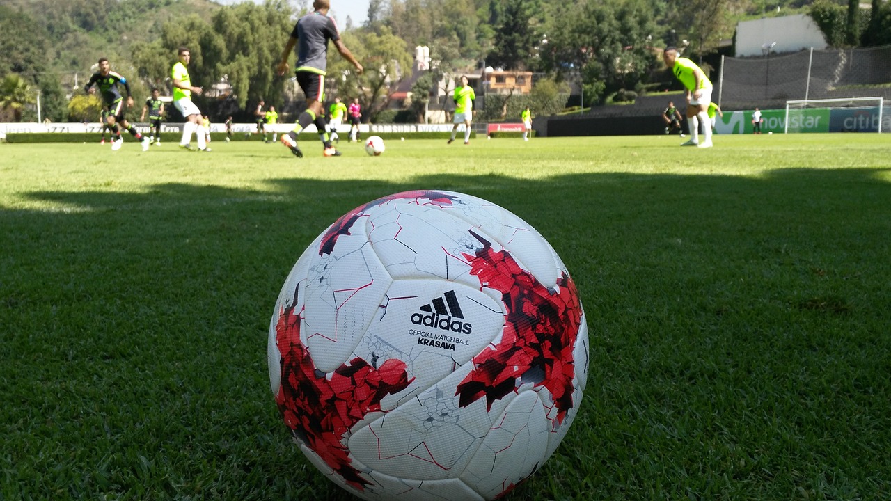 adidas soccer ball free photo