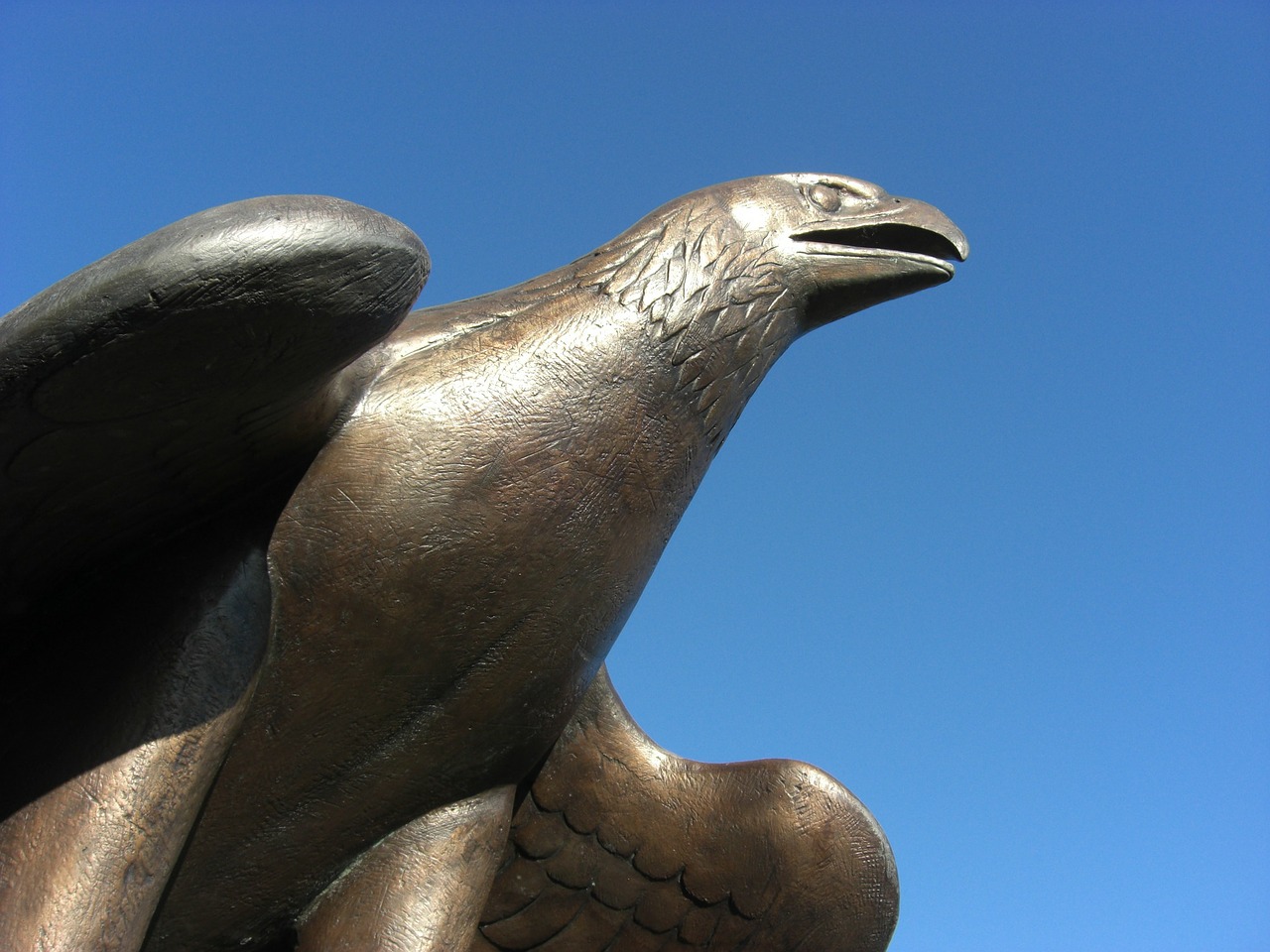 adler bronze statue free photo