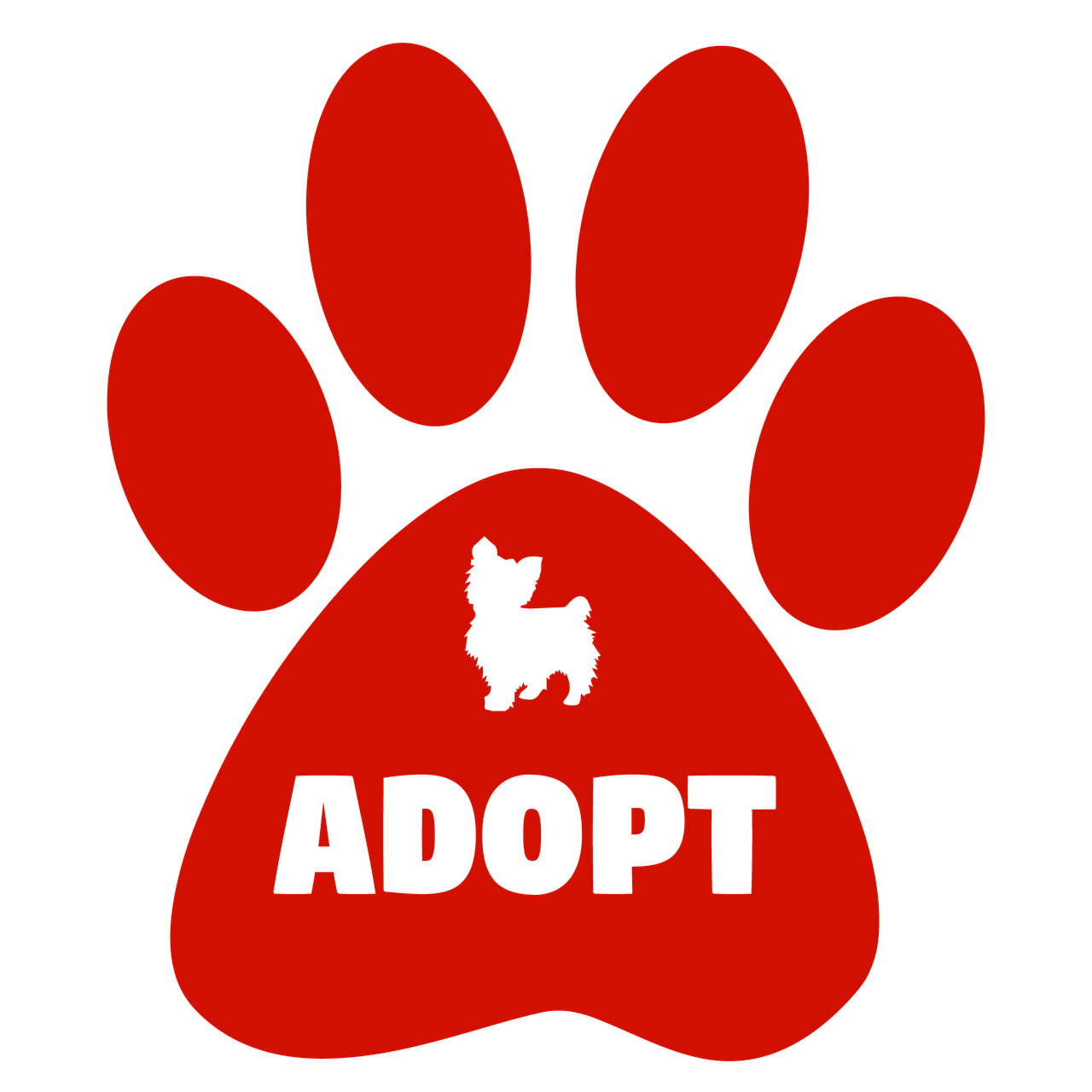 adopt dogs cats free photo