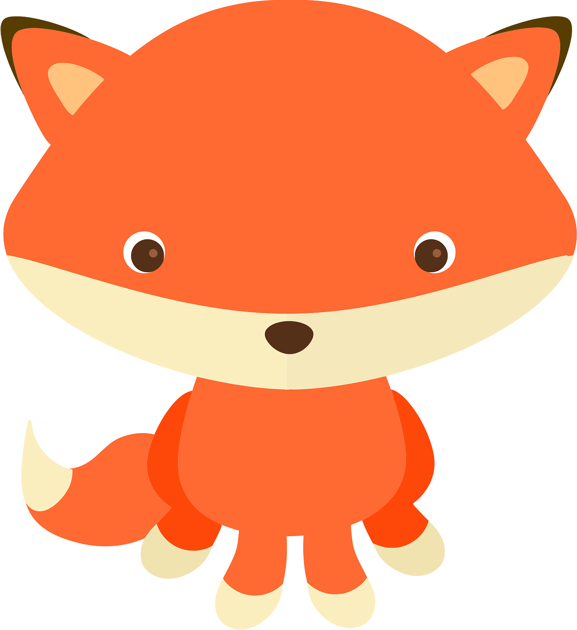 adorable adorable fox animal free photo