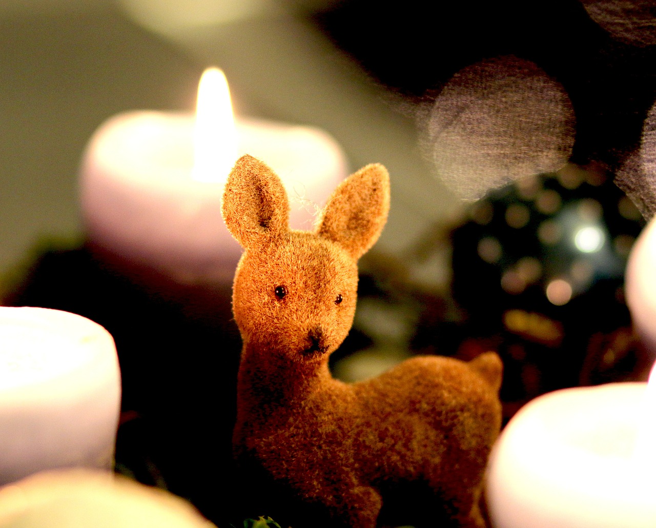 advent wreath roe deer candles free photo
