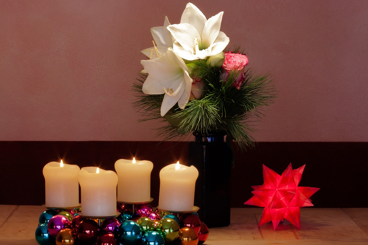 advent wreath christmas amaryllis free photo