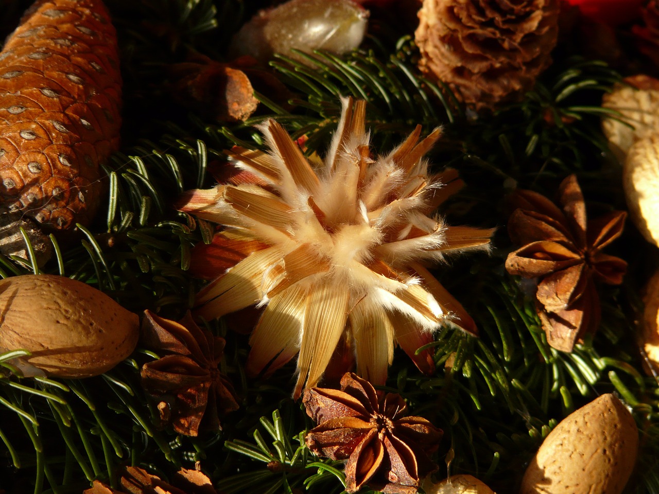 advent wreath seeds ornament free photo