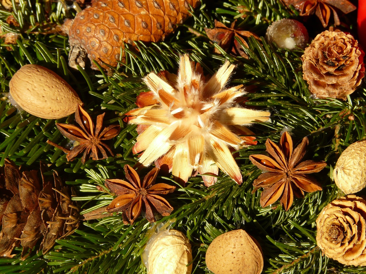 advent wreath seeds ornament free photo