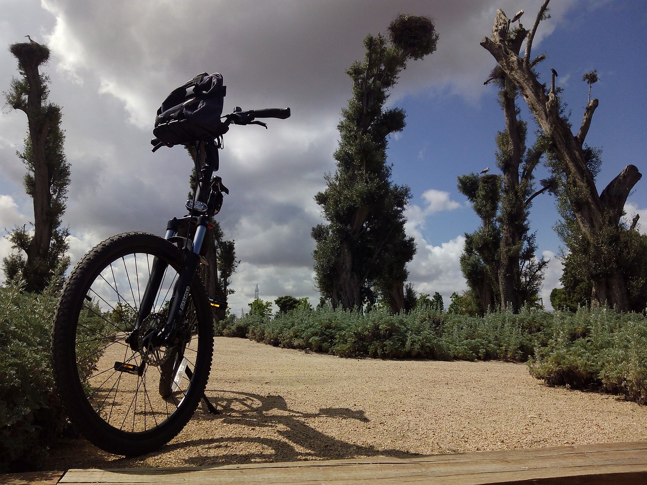 adventure park bike free photo