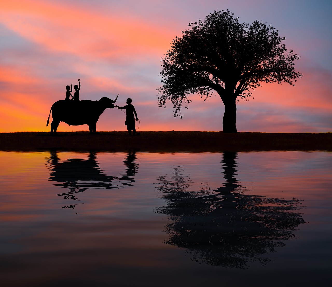 silhouette elephant kids free photo