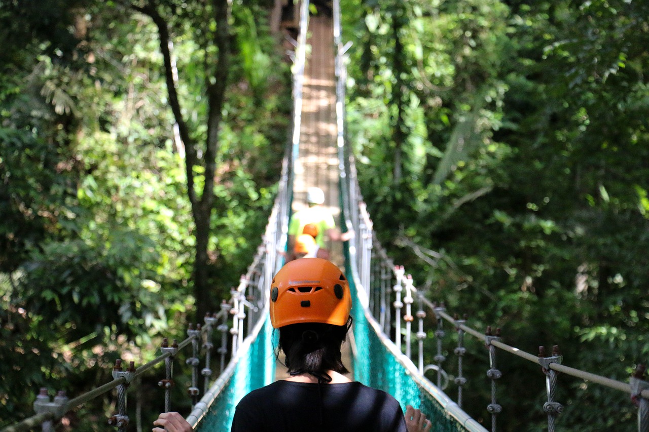 adventure bridge forest free photo