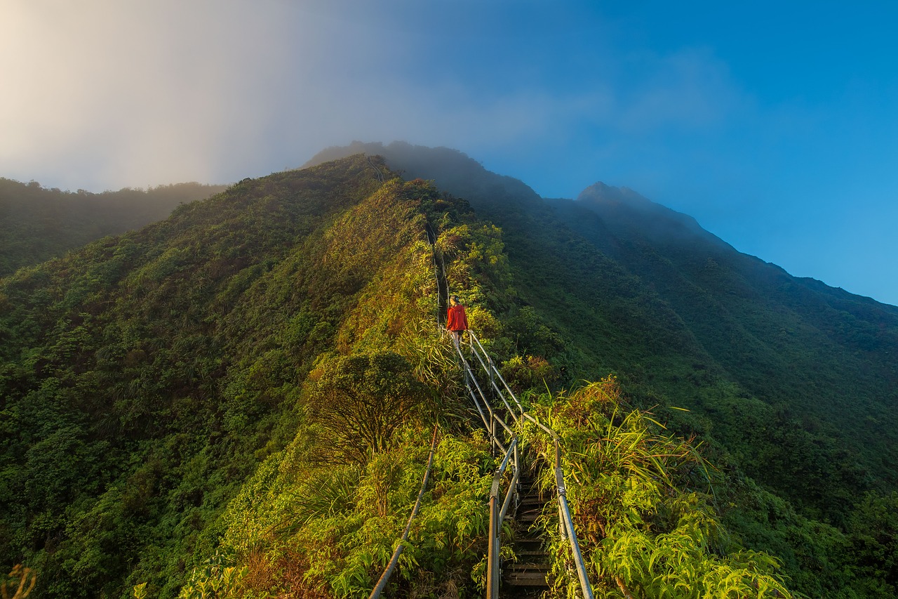 adventure grass mountain free photo