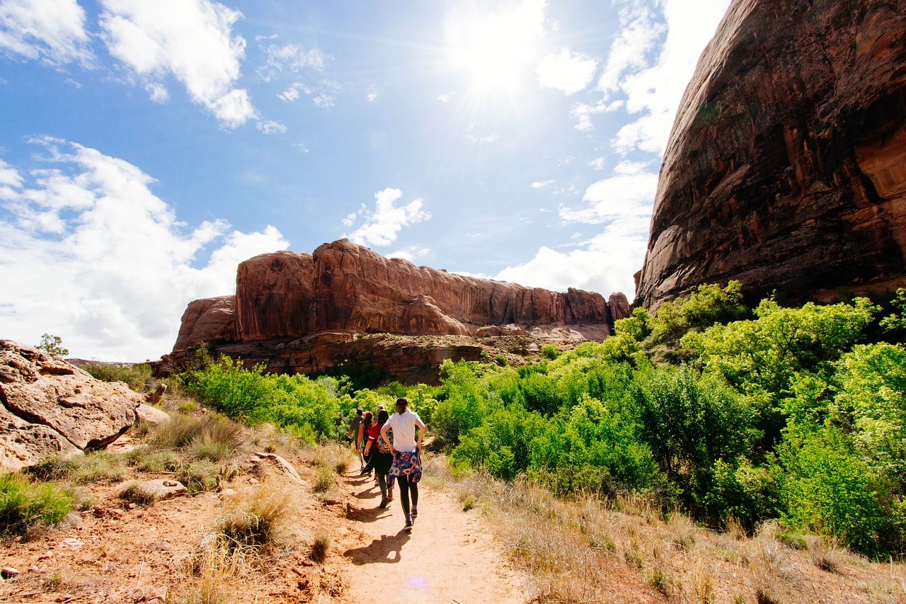 adventure grass hikers free photo