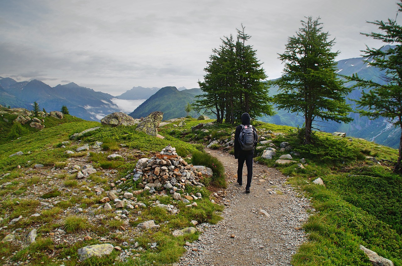 adventure grass hike free photo