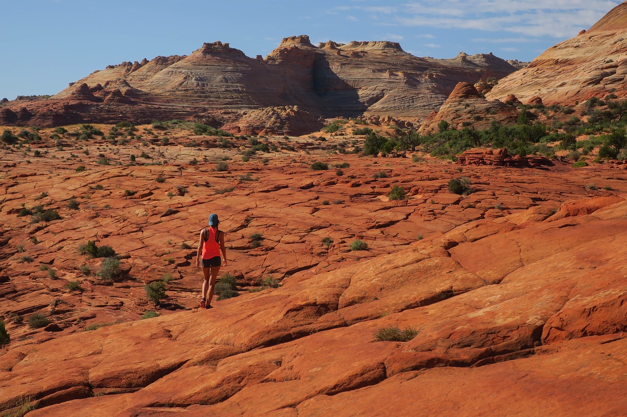 adventure arid barren free photo