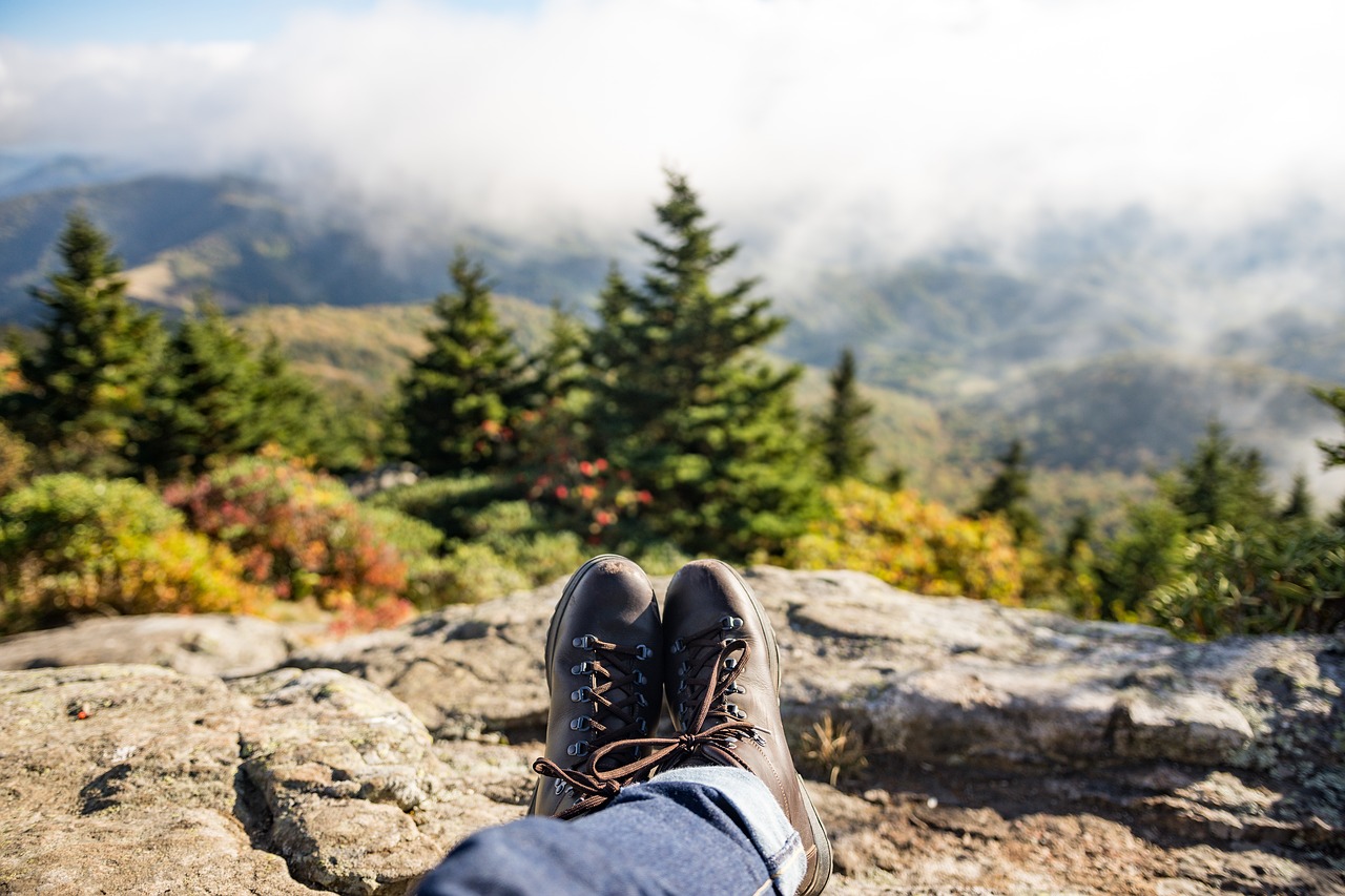 adventure boots conifers free photo