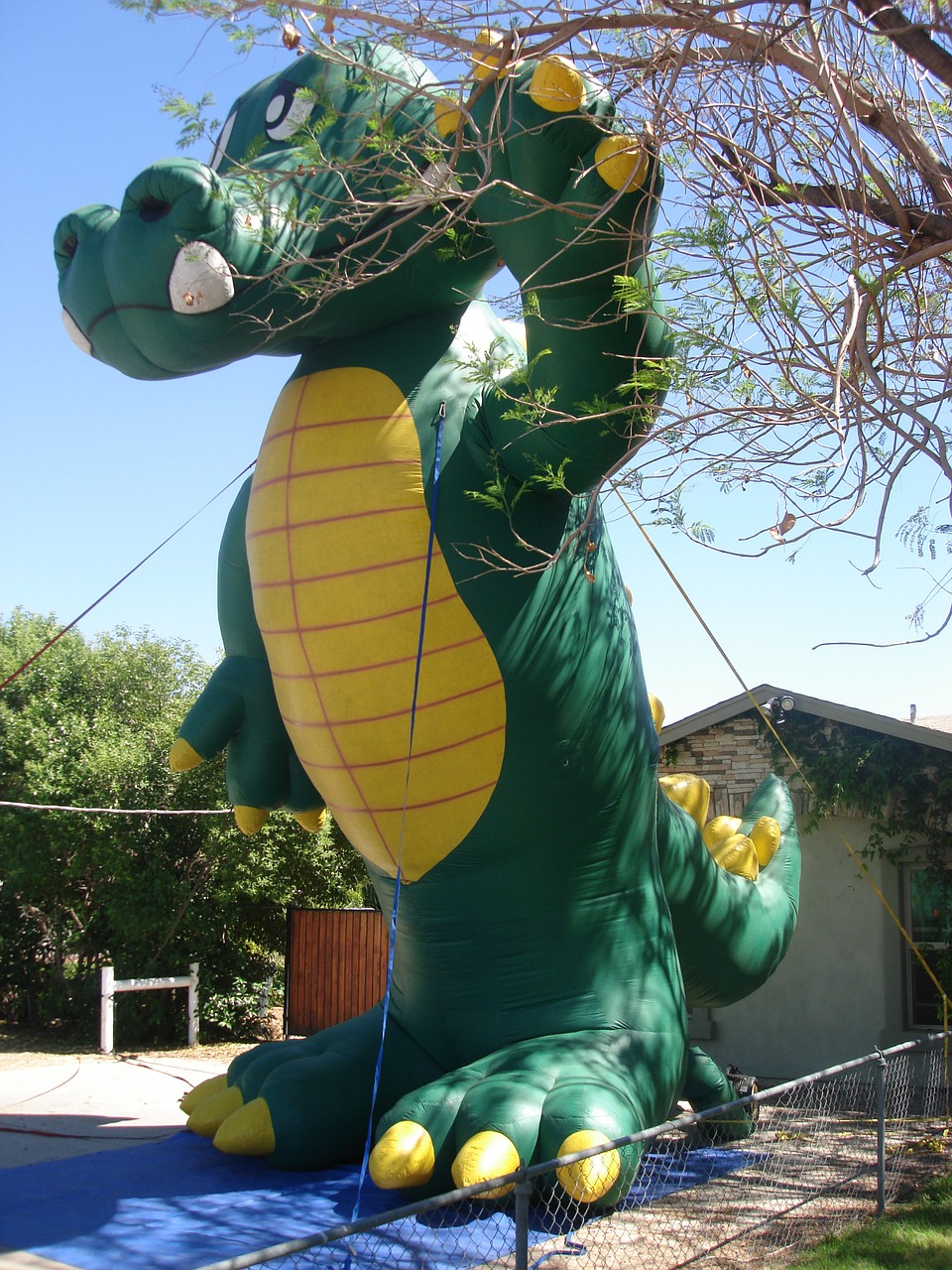 advertising inflatables giant inflatables alligator inflatables free photo