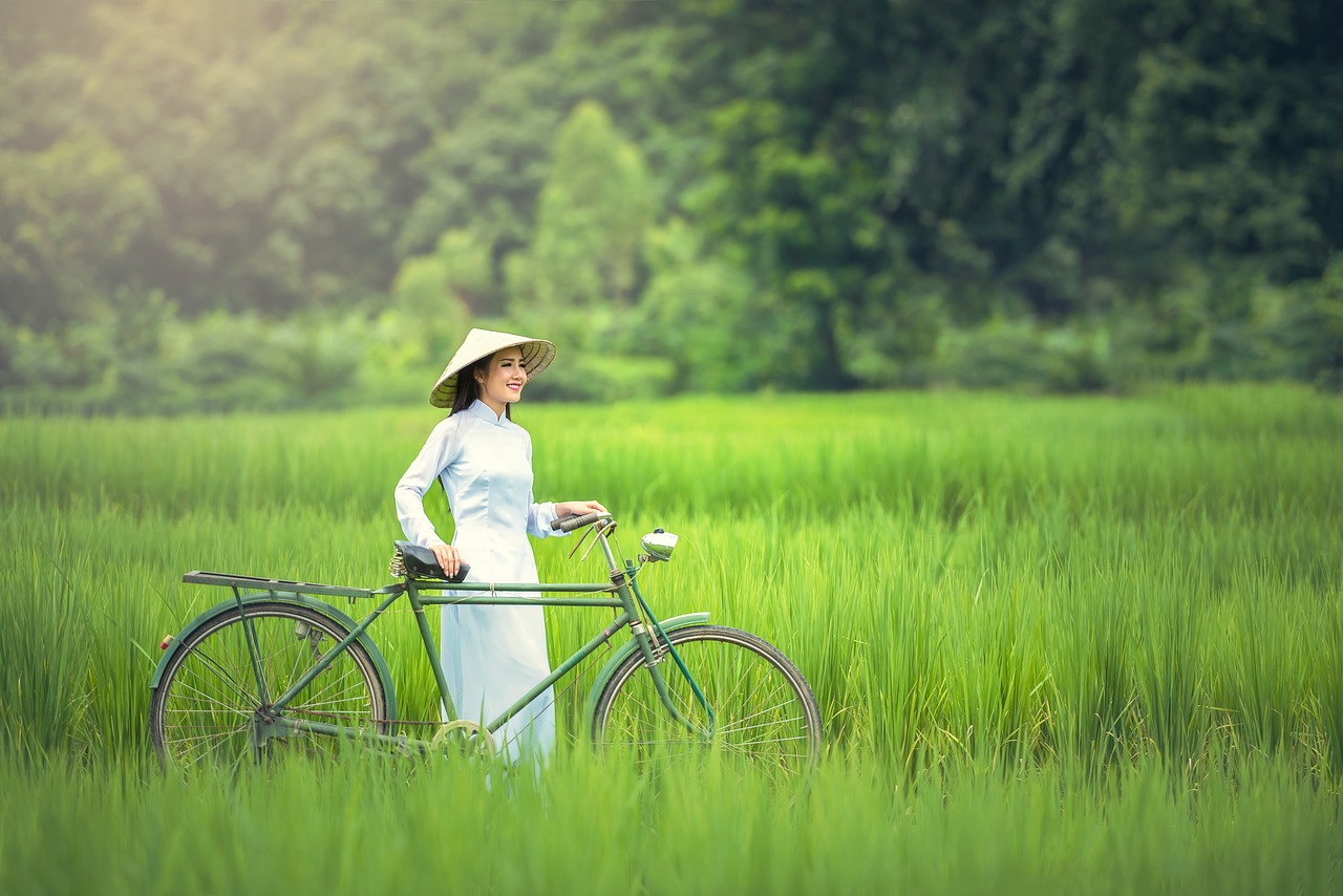 bicycle woman green free photo