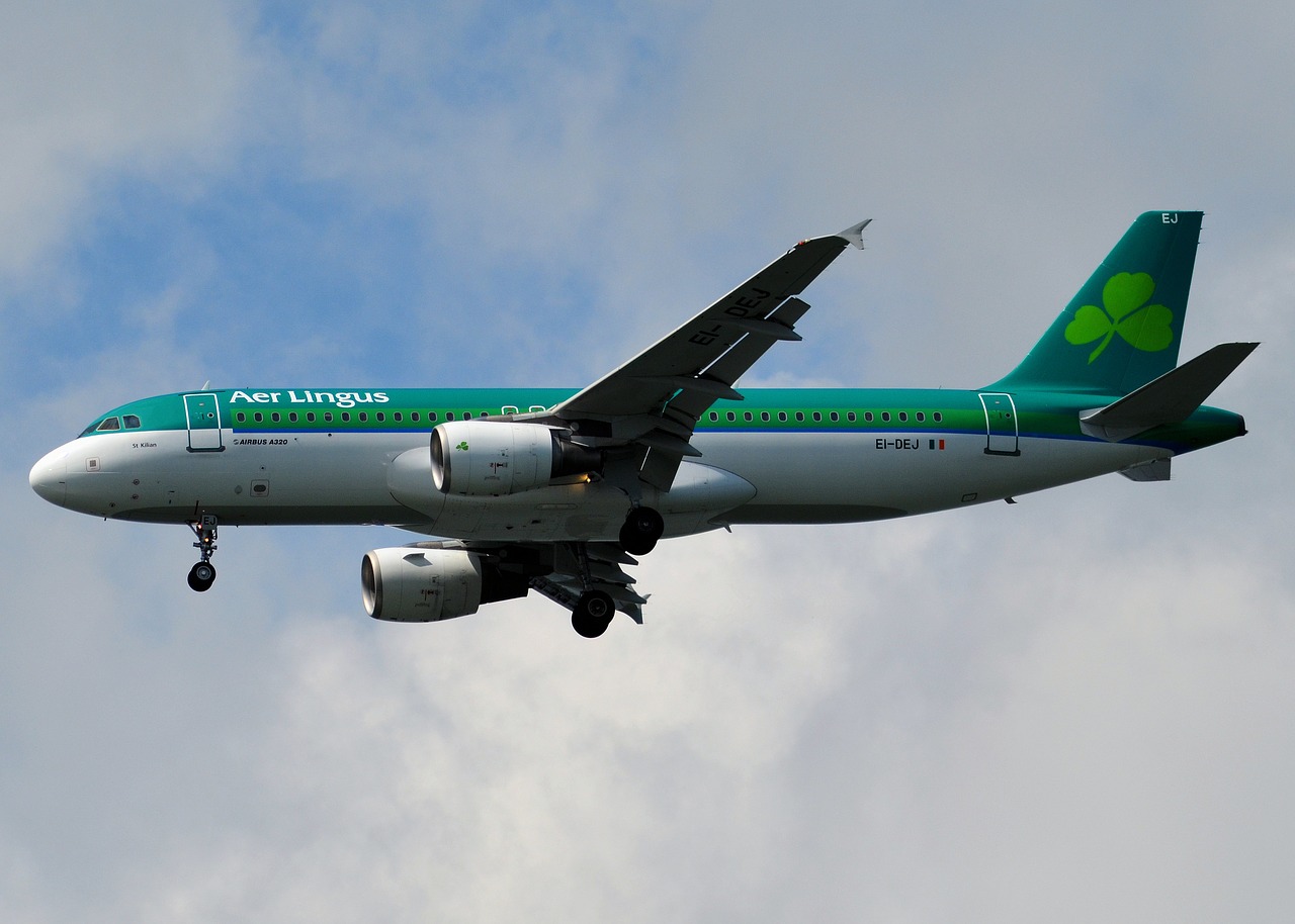 aer lingus plane airplane free photo