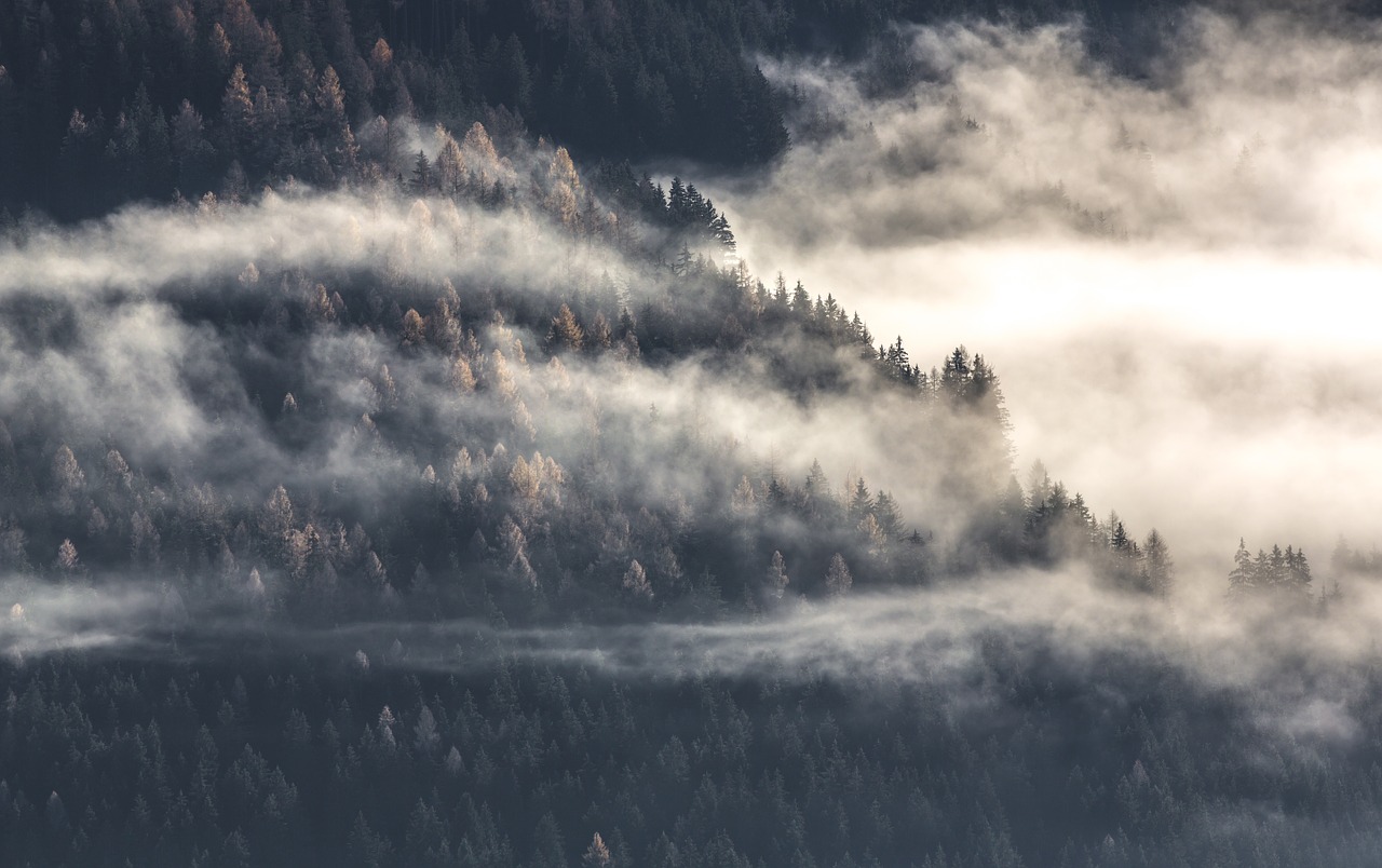 aerial fog mountain top free photo