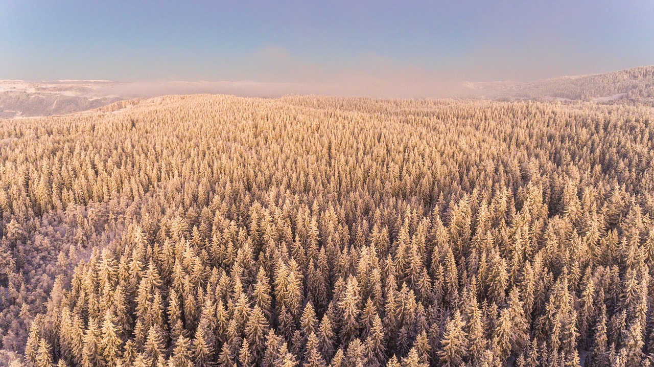 aerial agriculture background free photo