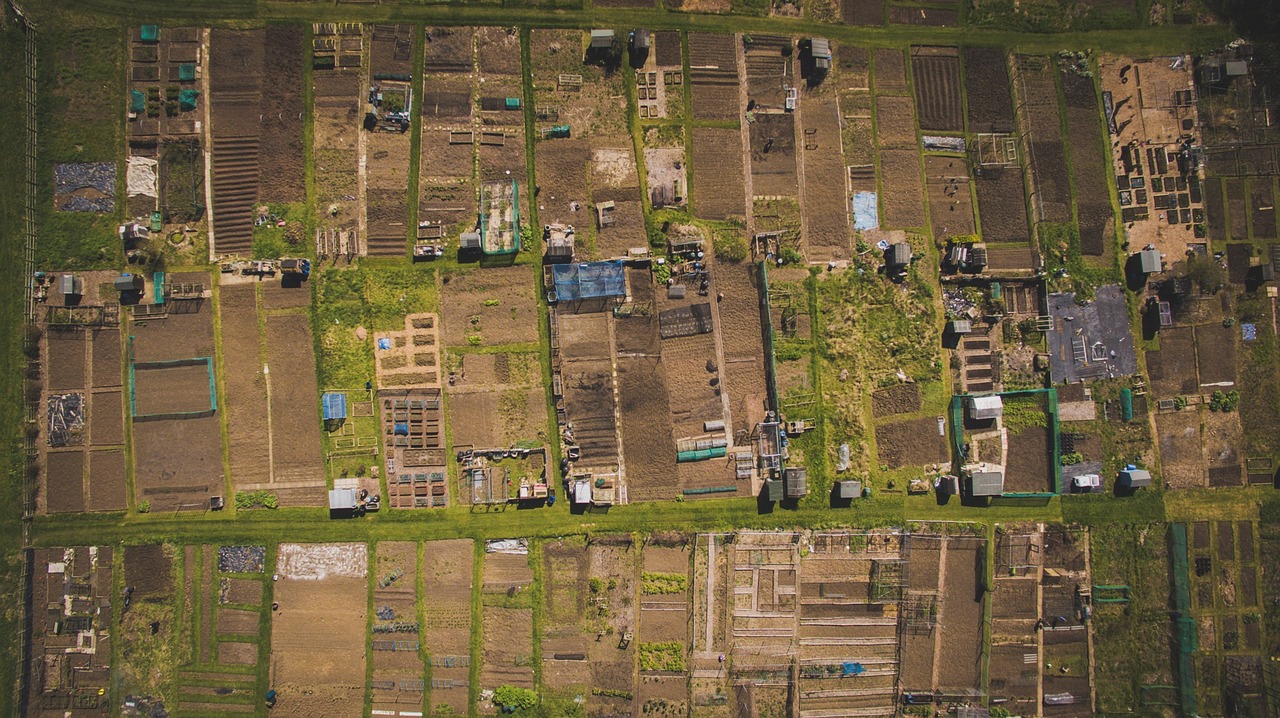 aerial view field free photo
