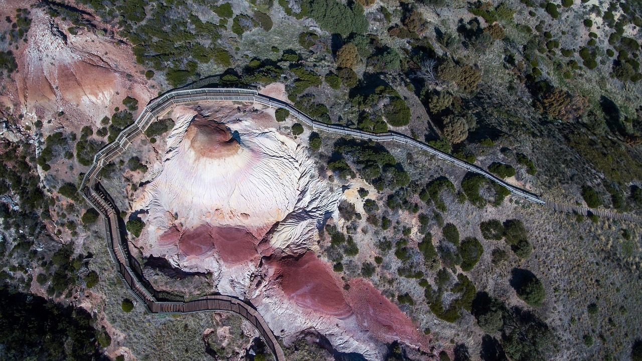 aerial view trees free photo