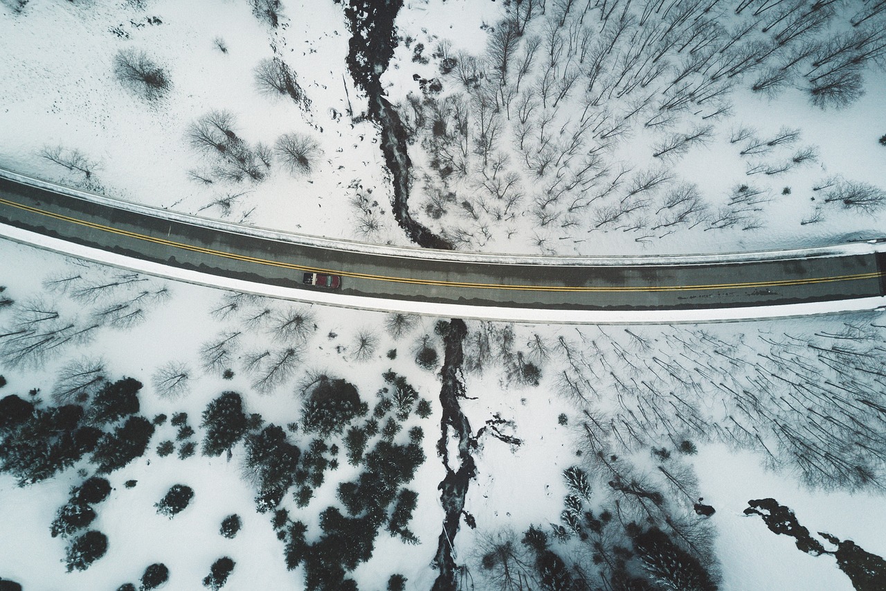 aerial trees snow free photo