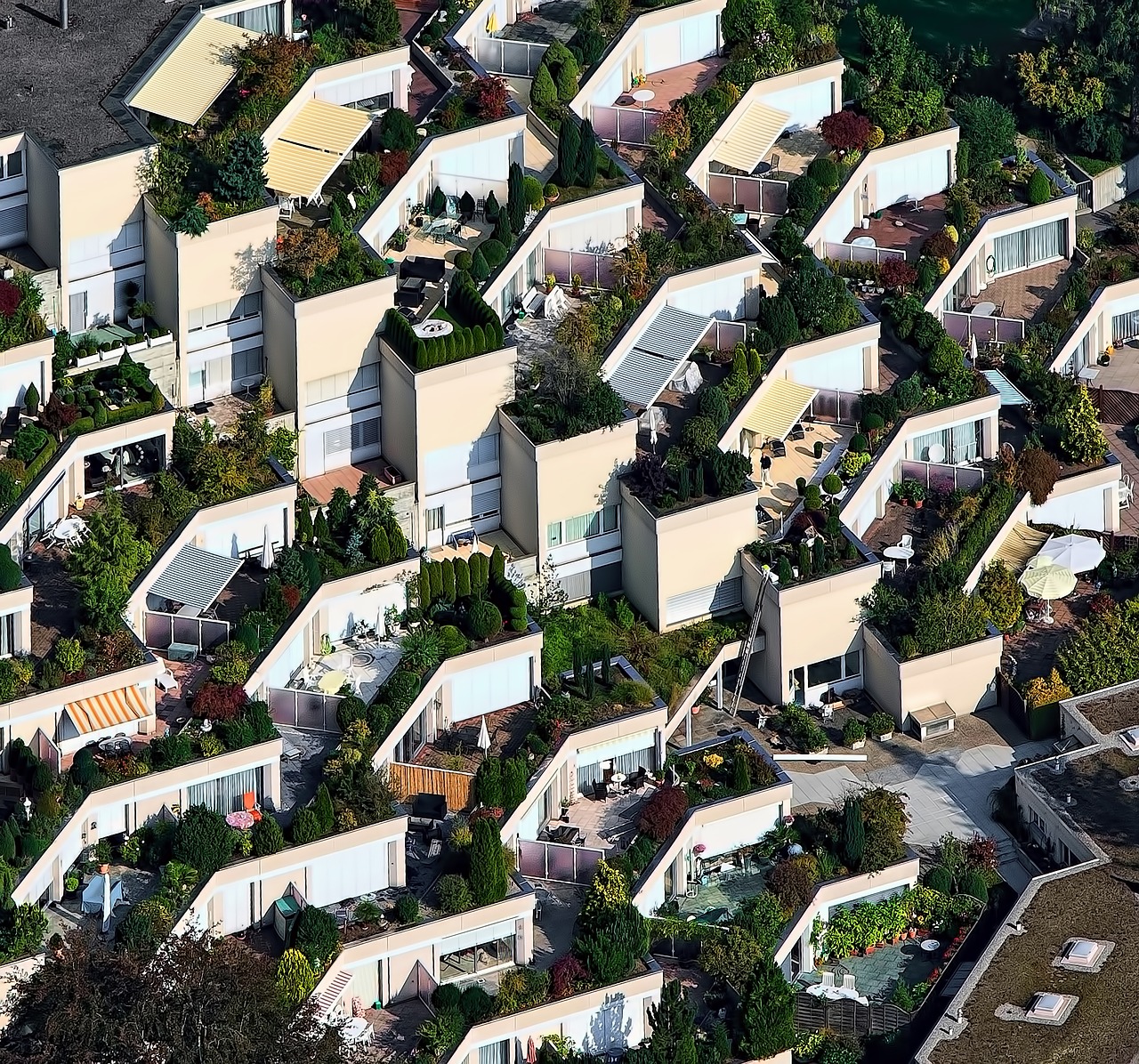 aerial view houses free photo