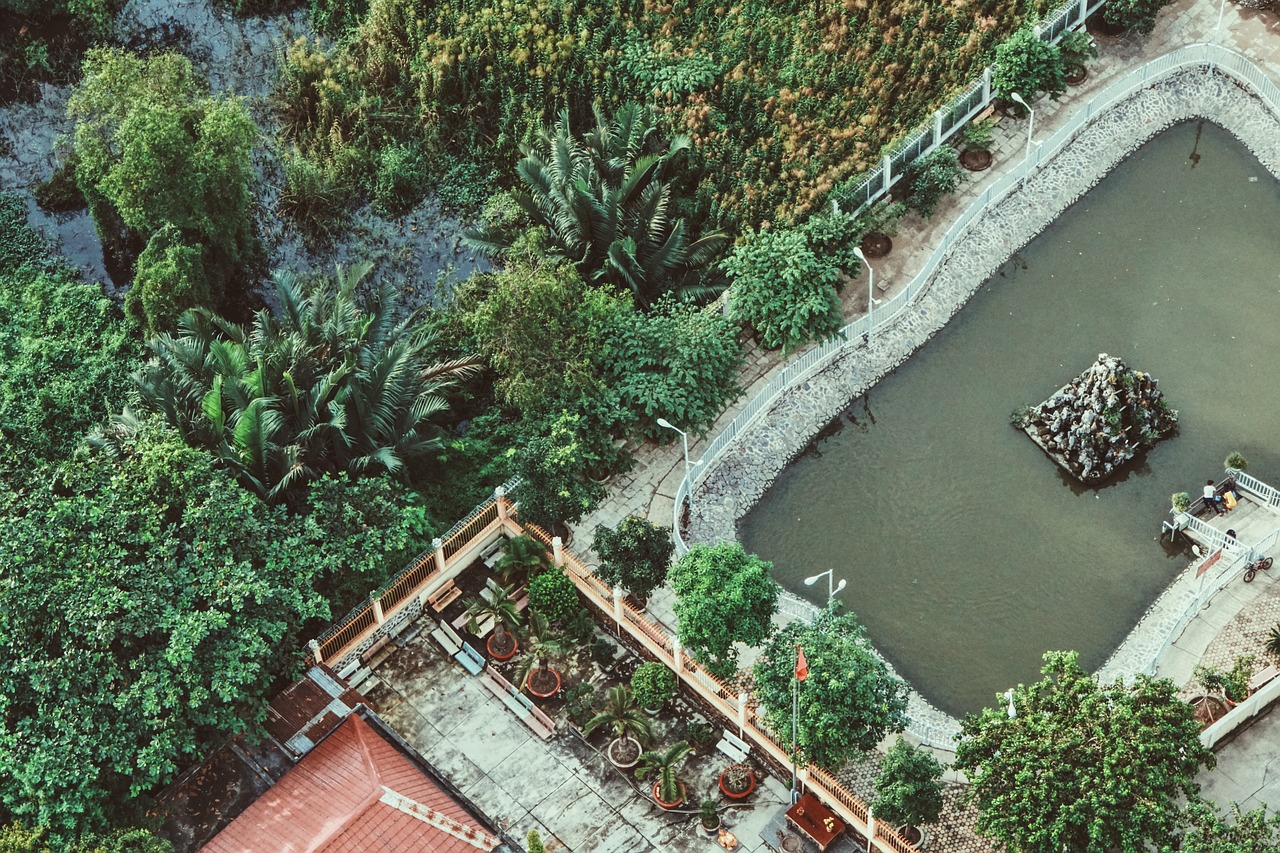 aerial view green free photo