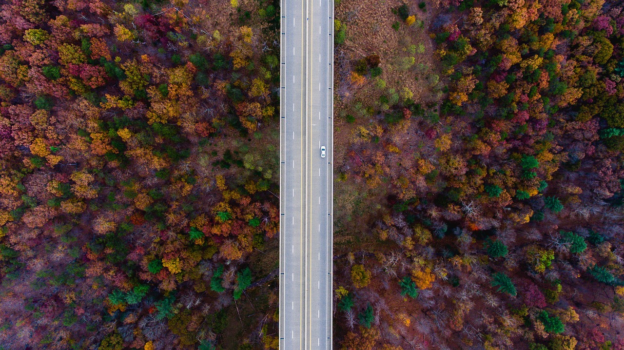 aerial view trees free photo