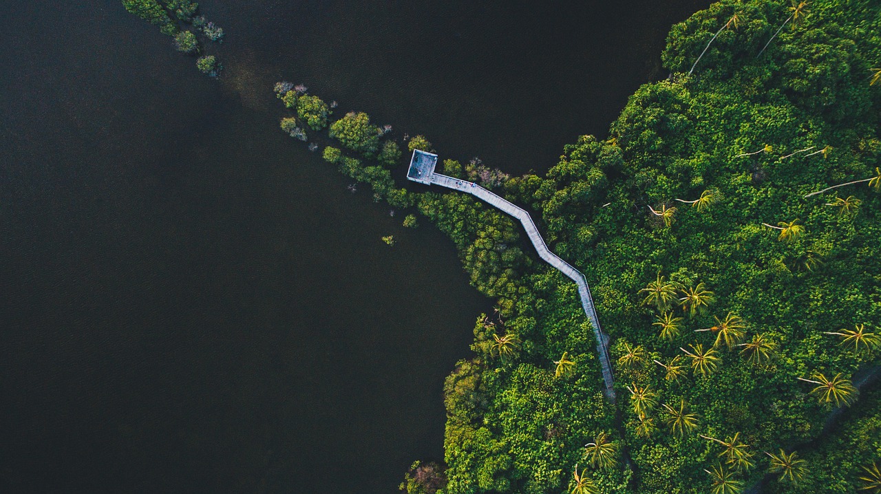 aerial view bridge free photo