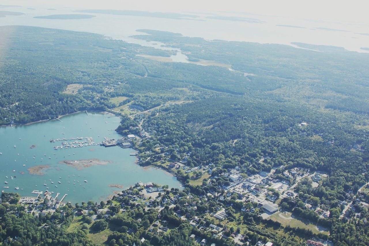 aerial view green free photo