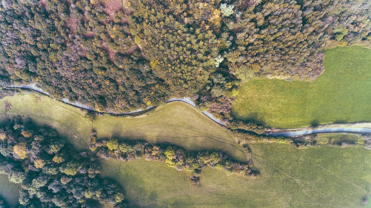 aerial view plants free photo