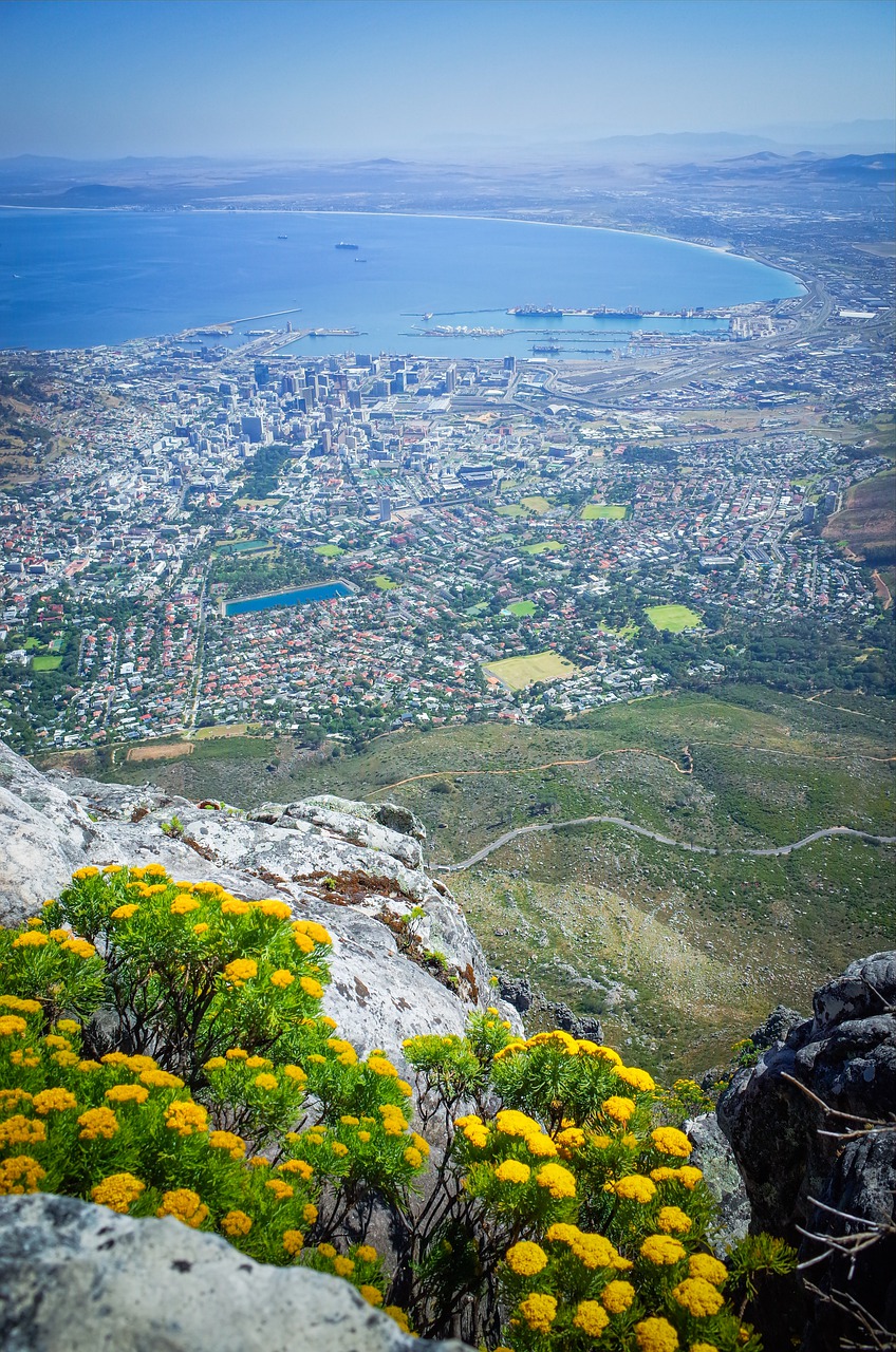 aerial  coastline  view free photo