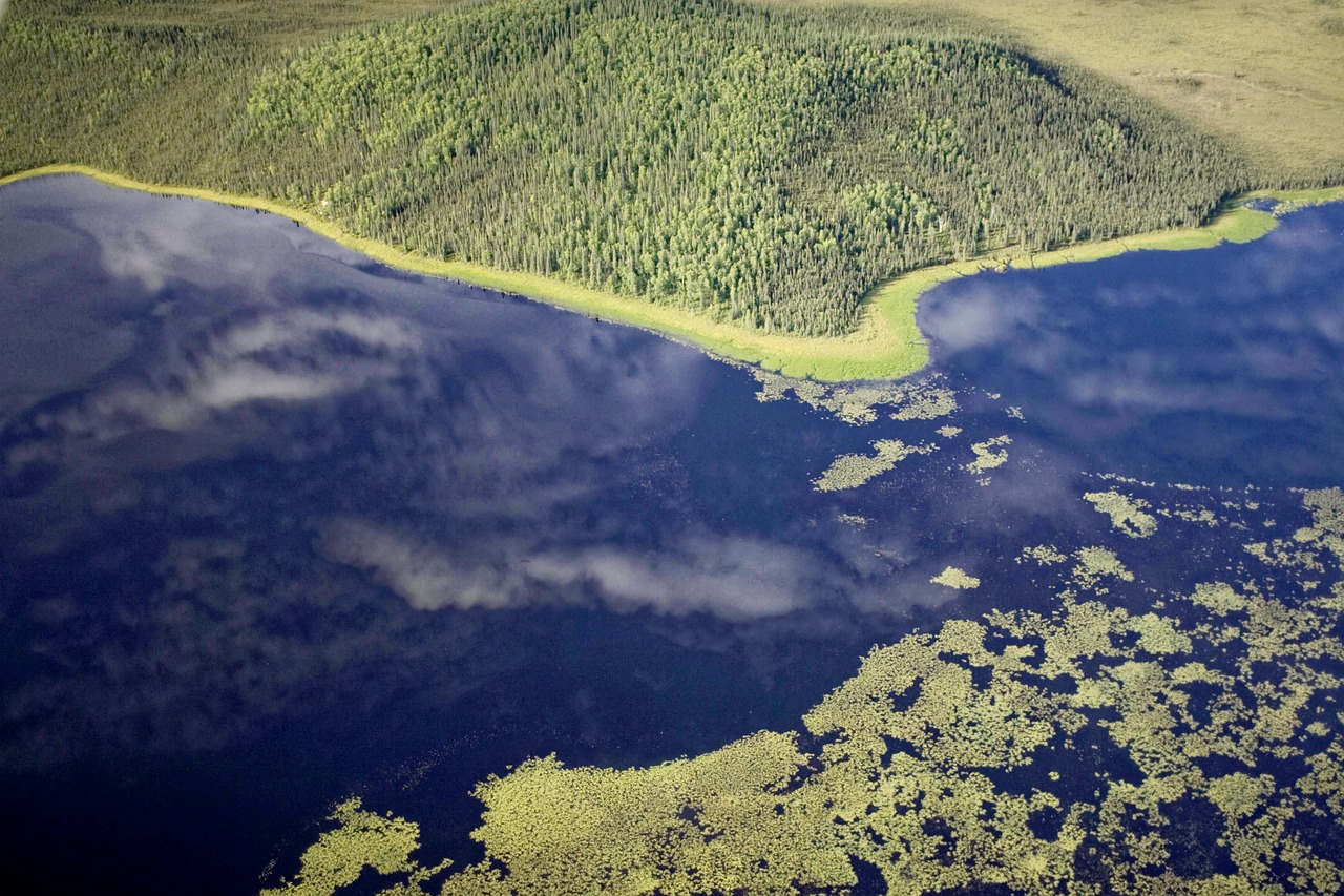 aerial river lakes free photo
