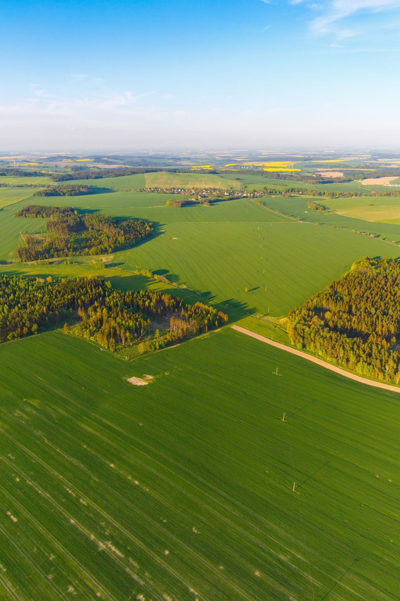 above aerial view agriculture free photo