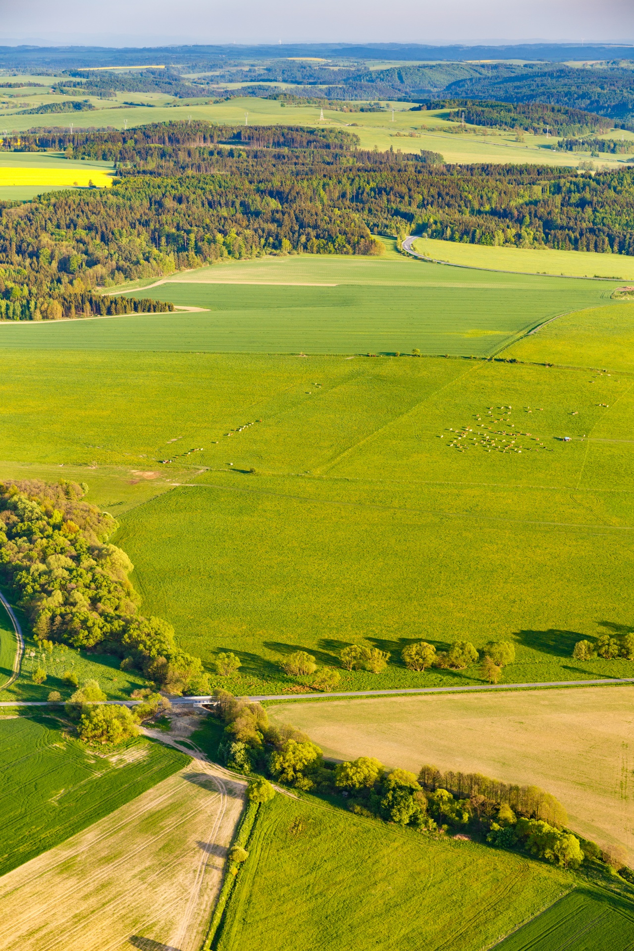 above aerial view agriculture free photo