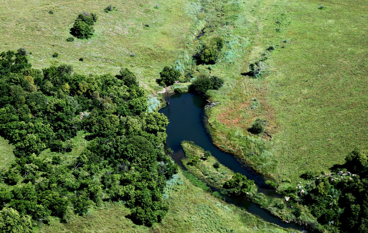 aerial shot green grass free photo