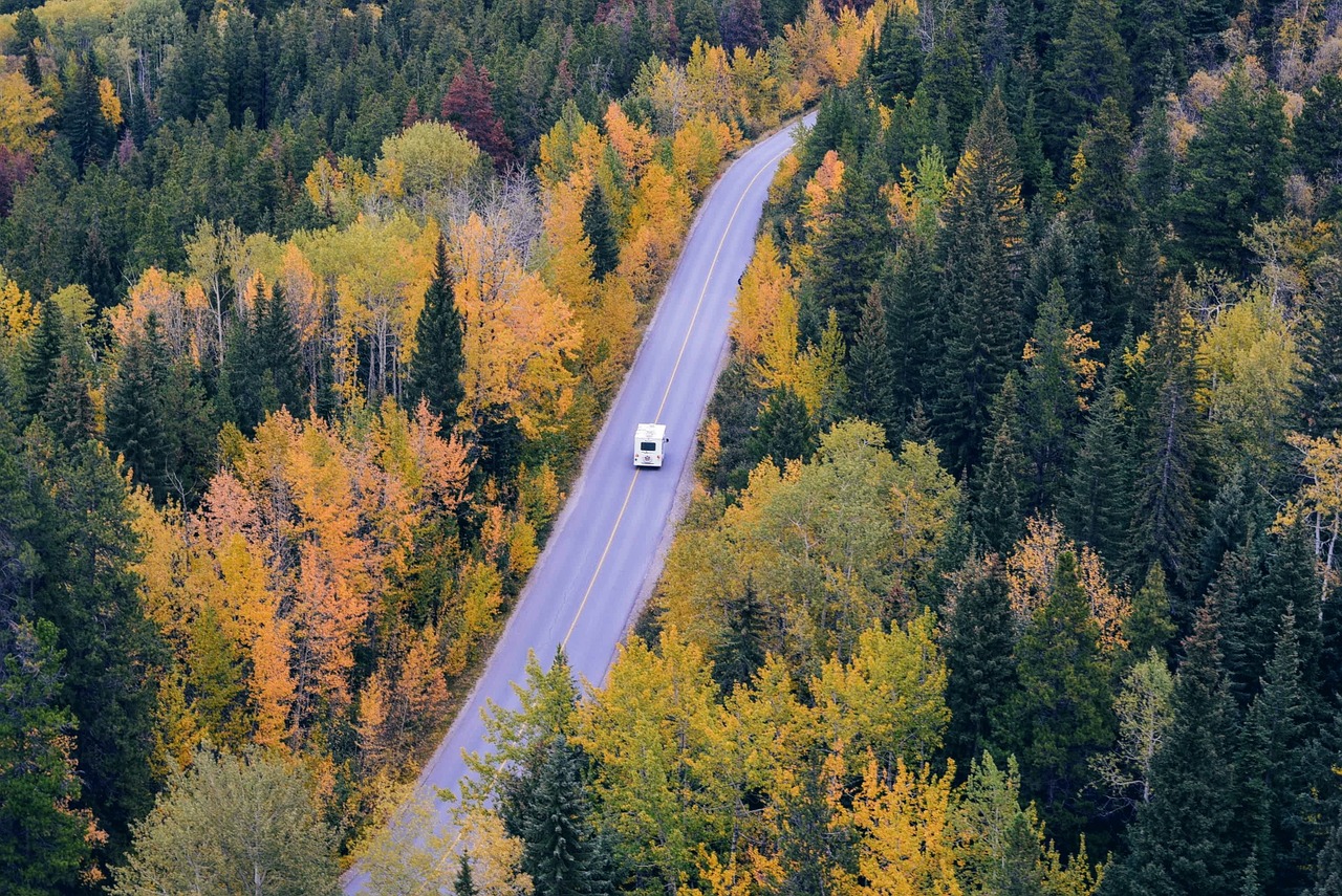 aerial view roadway fall landscape free photo