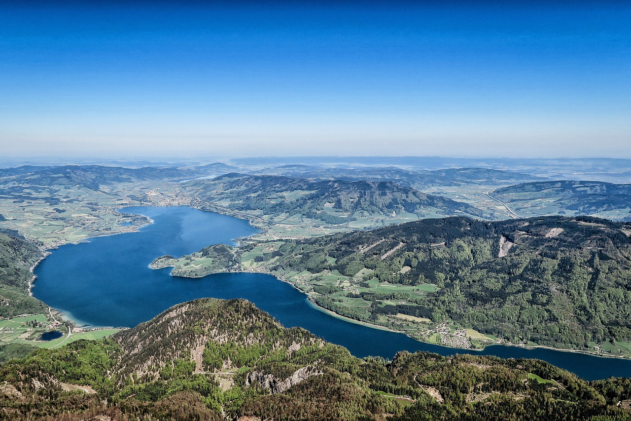 aerial view daylight foliage free photo