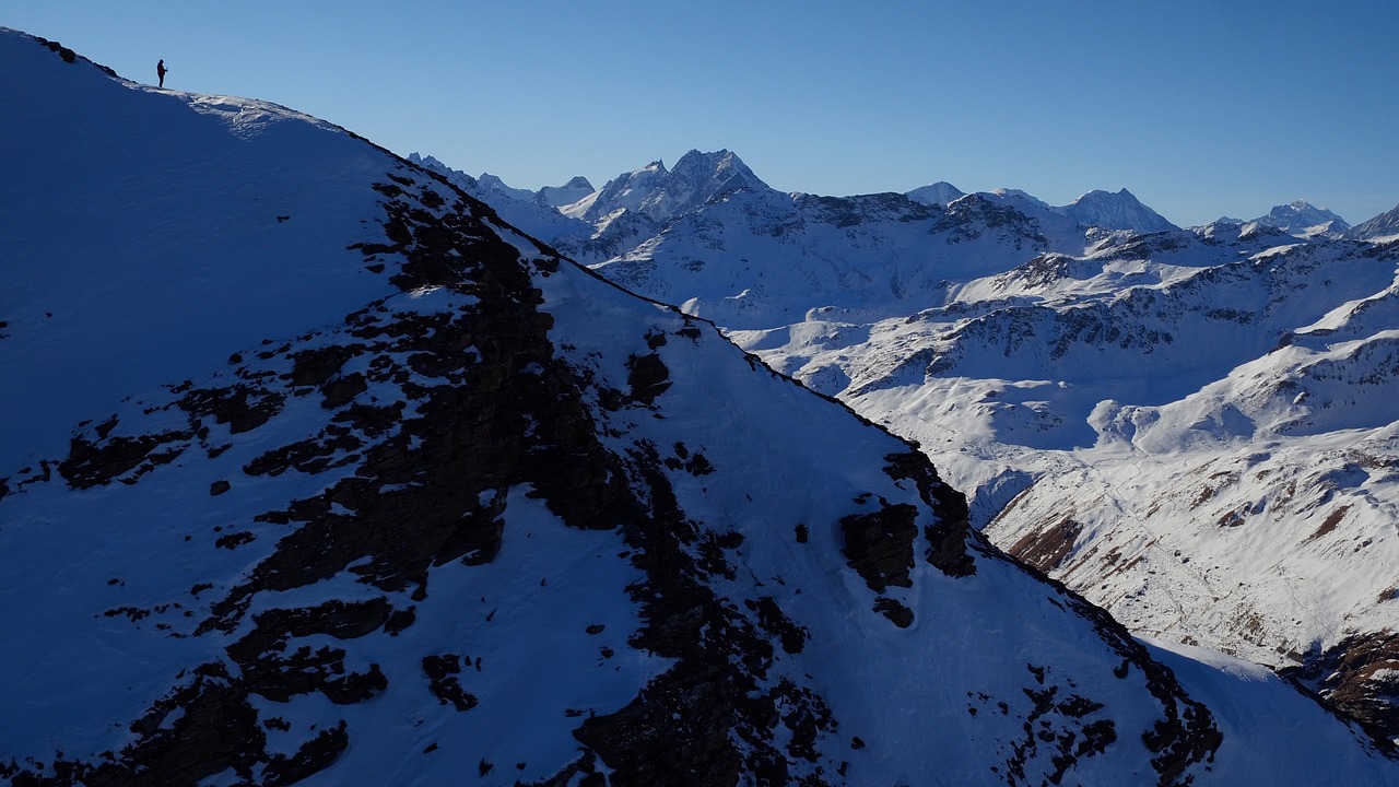 aerial view sorbois switzerland free photo