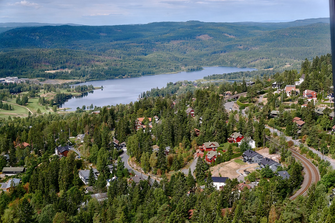 aerial view  village  lake free photo